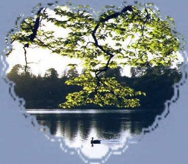 Du soleil dans mon c�ur